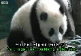 World news - January - 6th- 2014