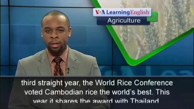 Cambodian, Thai rice voted best in the world