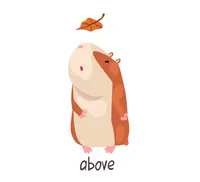 Definition & pronunciation of above