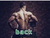 Definition und Aussprache von back