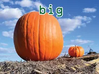 Definition und Aussprache von big