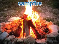 Definition & pronunciation of <strong>campfire</strong>
