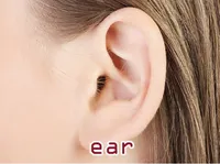 Definition und Aussprache von <strong>ear</strong>