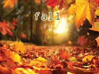 Definition und Aussprache von fall