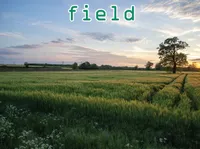 Definition und Aussprache von field