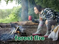 Definition & pronunciation of <strong>forest fire</strong>