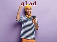 Definition und Aussprache von glad