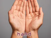 Definition und Aussprache von hand