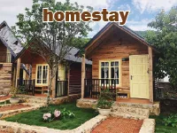 Definition & pronunciation of <strong>homestay</strong>