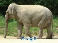 Definition und Aussprache von huge