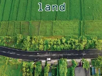 Definition und Aussprache von land