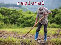 Definition & pronunciation of <strong>regional</strong>