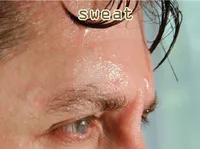 Definition & pronunciation of <strong>sweat</strong>