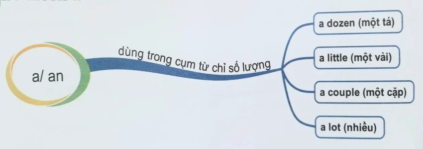 Artikel a, an, the im Englischen