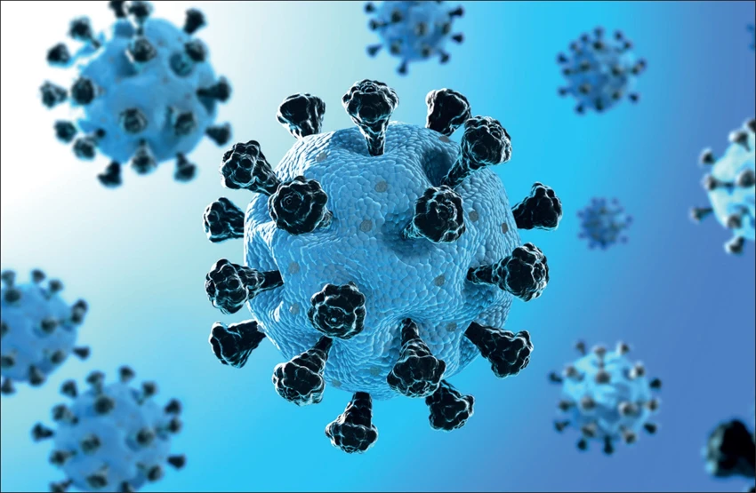 Learn English about Covid: All about vocabulary and disease prevention